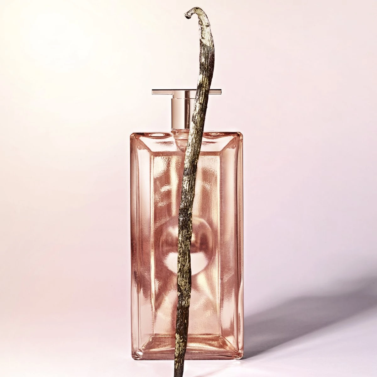 Lancôme Idôle L'Intense 75 Ml - Eau De Parfum - Damesparfum 5 Lancôme Idôle L'Intense 75 Ml - Eau De Parfum - Damesparfum - Afbeelding 5