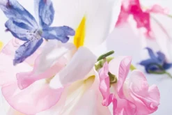 Dior Miss Vrouwen 50 Ml -Beste Parfum Winkel 1200x800 20