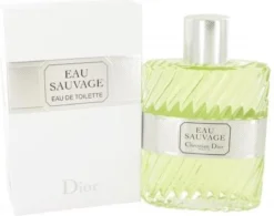 Dior Eau Sauvage 100 Ml - Eau De Toilette - Herenparfum -Beste Parfum Winkel 1200x945 2