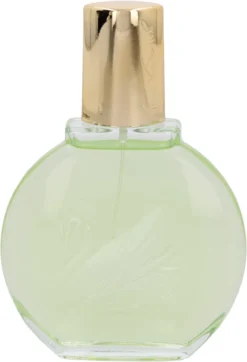 Vanderbilt - Jardin A New York - Eau De Parfum - 100ML - Damesparfum -Beste Parfum Winkel 818x1200 1